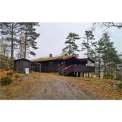 Amazing home in Hornnes with WiFi and 3 Bedrooms