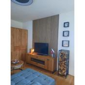 Apartment - Golden Fox 18 - Pohorske terase
