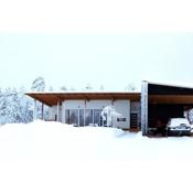 Arctic Modern Home