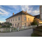 Attractive apartment in Karnten with garden