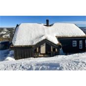 Awesome home in Gol with Sauna, WiFi and 4 Bedrooms