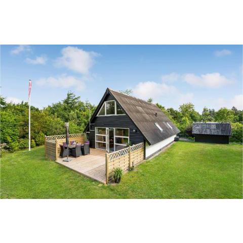 Awesome Home In Skjern With 3 Bedrooms And Wifi 2