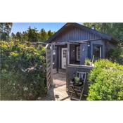 Awesome home in Vassmolösa with Sauna, WiFi and 1 Bedrooms