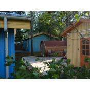 Backyard Turquoise House