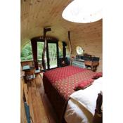 Caban Delor. Off-grid glamping experience. Walking distance into Caernarfon. 20-min drive to Snowdonia or Anglesey.