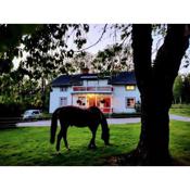 Charming 6 bedroom House & Horse Farm - Sleeps 12