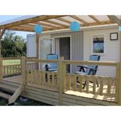 Compact 4 person chalet in Friesland