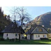 Cozy Cottage in the Heart of the Triglav National Park