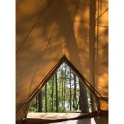 Forest glamping