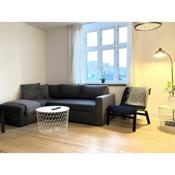Great 3 Bedroom Apartment In The Center Of Vejle