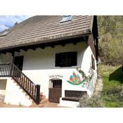 Huge Cottage in the Heart of the Triglav National Park