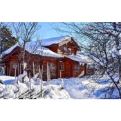 Nice home in Hovden i Setesdal with 5 Bedrooms, Sauna and WiFi