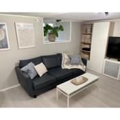 One bedroom basement apartment in the city