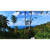 Sea View - Palm Villa