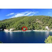 Secluded fisherman's cottage Cove Stoncica, Vis - 8894