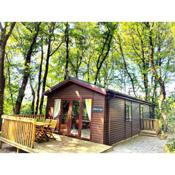 Woodland View -Hot Tub-Tenby-Carmarthen-St Clears
