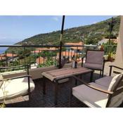 2 bedrooms appartement with sea view furnished balcony and wifi at Arco da Calheta 6 km away from the beach