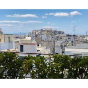 200Mbps Wifi - Penthouse With Acropolis View