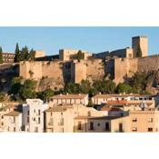 4 bedrooms appartement with city view terrace and wifi at Tortosa