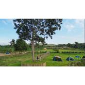 4J River Camping and Resort