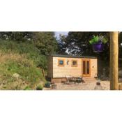 A HUT and a HALF, a cosy Shepherds Hut, heating, hot water and a magnificent view for 2