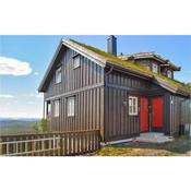 Amazing Apartment In Rauland With Sauna, Wifi And 3 Bedrooms