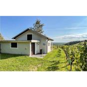 Amazing home in Eisenberg an der Pinka with WiFi and 1 Bedrooms