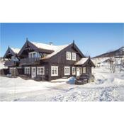 Amazing home in Rauland with 4 Bedrooms and Sauna