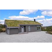 Amazing home in Rauland with Sauna, 3 Bedrooms and WiFi