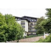 Apartment Grüner Baum Alpendorf
