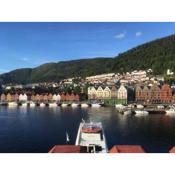 Apartment with Beautiful View to Bryggen