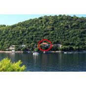 Apartments and rooms by the sea Ubli, Lastovo - 991