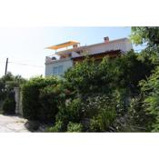 Apartments and rooms with parking space Bozava, Dugi otok - 8100