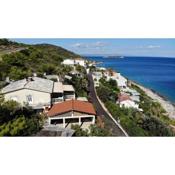 Apartments by the sea Milna, Vis - 8917