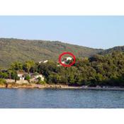Apartments by the sea Valun, Cres - 386