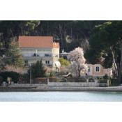 Apartments by the sea Zlarin - 14025
