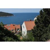 Apartments with WiFi Dubrovnik - 8821