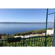 Apartments Zorica - with view