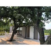 Apple Tree Guest House