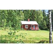 Awesome home in Hagfors with