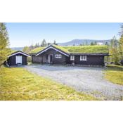 Awesome home in Hemsedal with 4 Bedrooms, Jacuzzi and Sauna