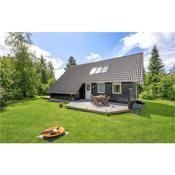 Awesome home in Hjslev with 3 Bedrooms and WiFi