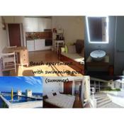 Beach apartment... T1 with swimming pool (summer)
