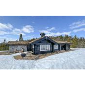 Beautiful Home In Eggedal With Sauna, Wifi And 4 Bedrooms