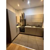 BigKings Cosy 2 bedroom apartment with free parking in central Manchester