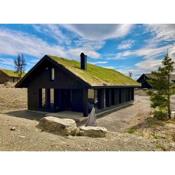 Brand new cabin at Moseteråsen Hafjell Ski inout