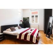 Bright and Spacious 2BDR Apartment in heart of Zagreb
