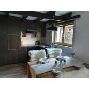 Bright renovated studio - 1 min from the slopes!
