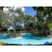 CasaMare - Luxury Apartment and Pool - Sorrento