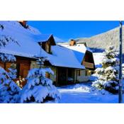 Charming wooden house with sauna in the heart of Kranjska Gora